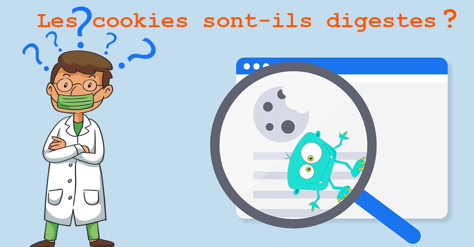 Les cookies – leur mode de fonctionnement – leur utilité